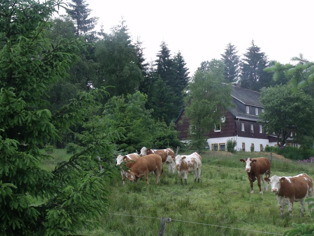 Pension Haus Pentacon Altenberg  Exterior foto